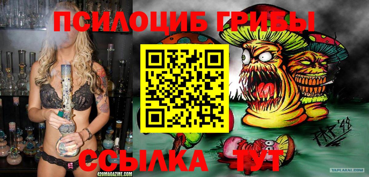даркнет сайт  Вход с VPN  Киров  Галлюциногенные грибы GOLDEN TEACHER 